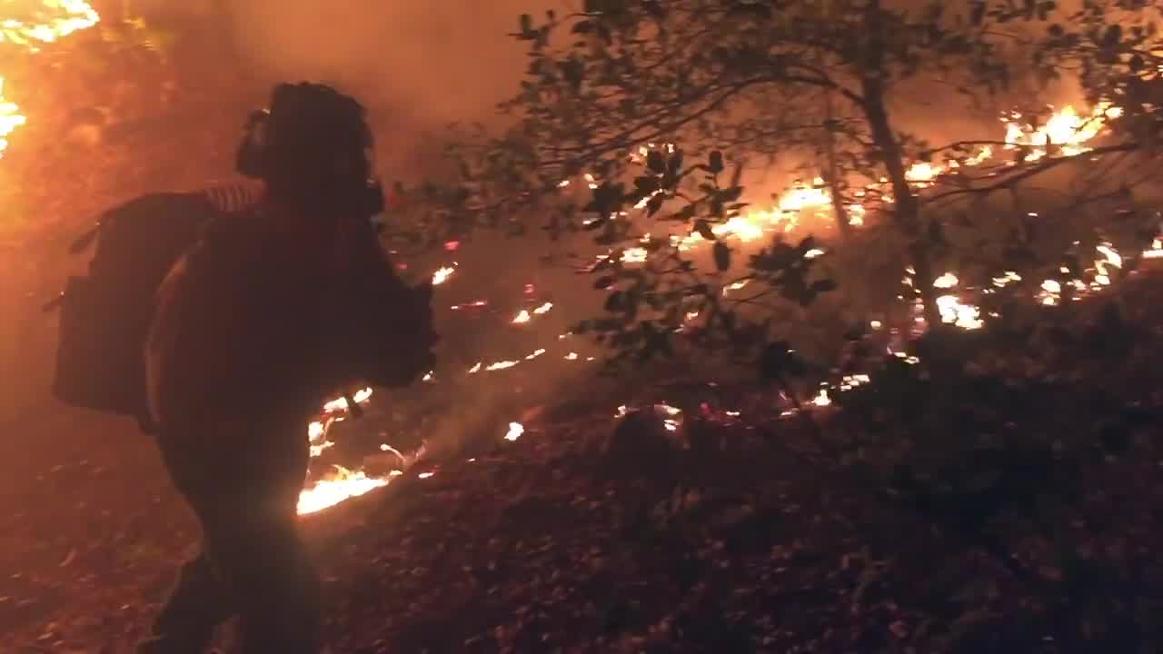 Elite firefighters save baby deer from Arizona wildfire