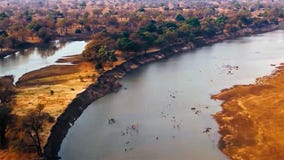 Countries Of the Cup: Zambia