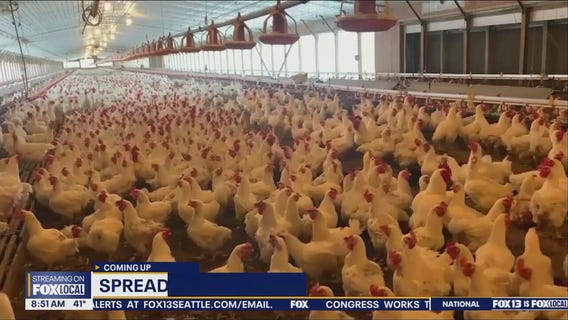 Good Day Seattle at 8am on Monday, 12/16