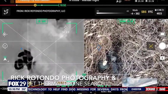 Pet detective uses drone to track down missing show dog