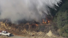 Arson suspect arrested in LA fire