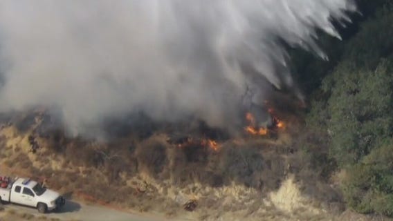 Arson suspect arrested in LA fire