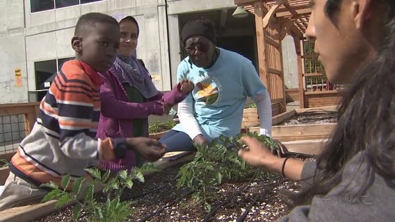 BAY AREA PEOPLE A's Farm