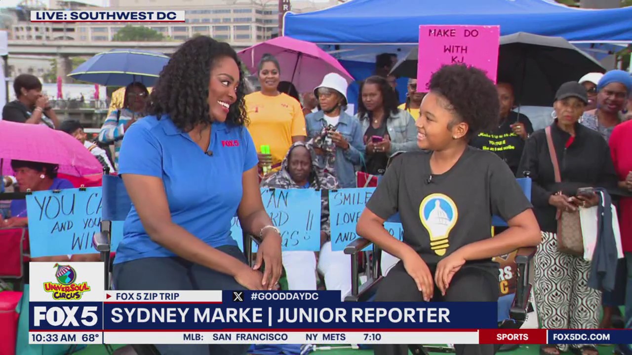 Zip Trip to The Wharf: Junior Reporter