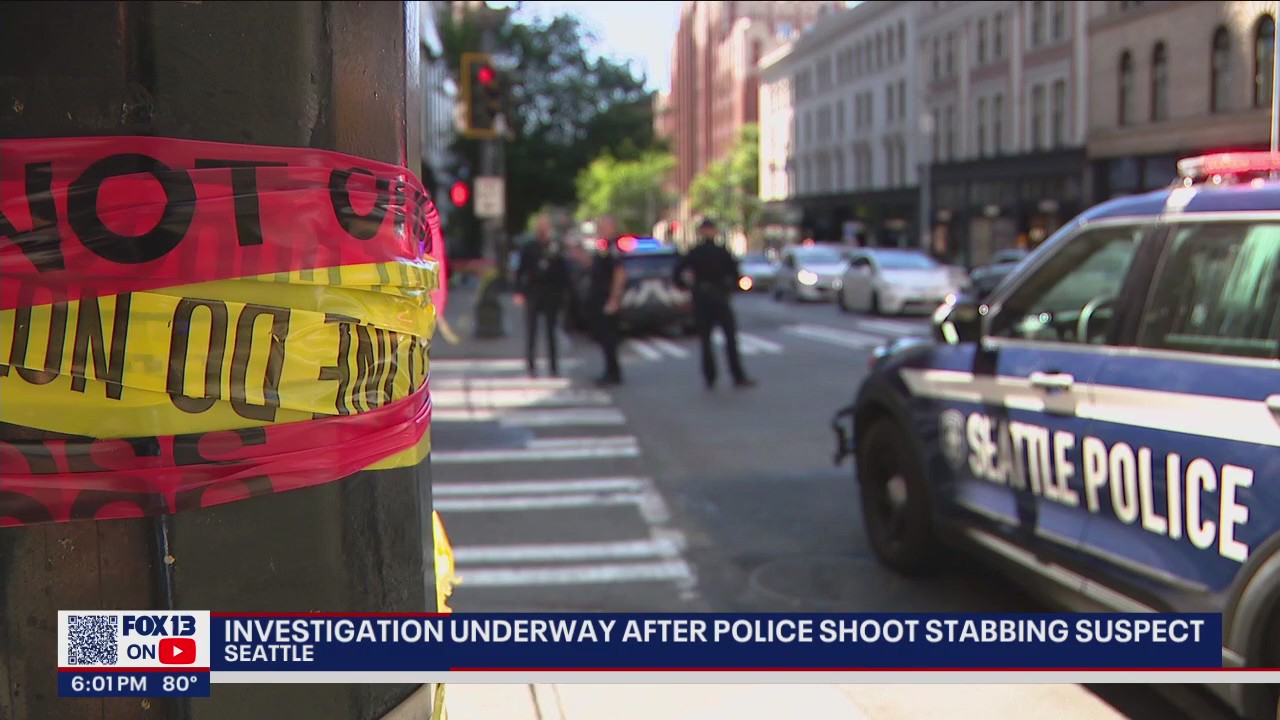 Investigation underway after police shoot stabbing suspect