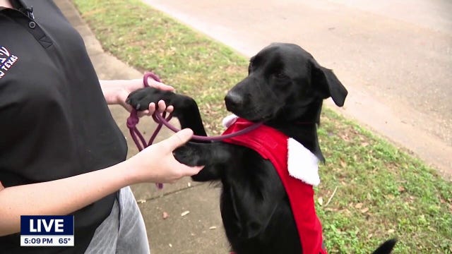 Pasadena woman saving dogs from euthanasia