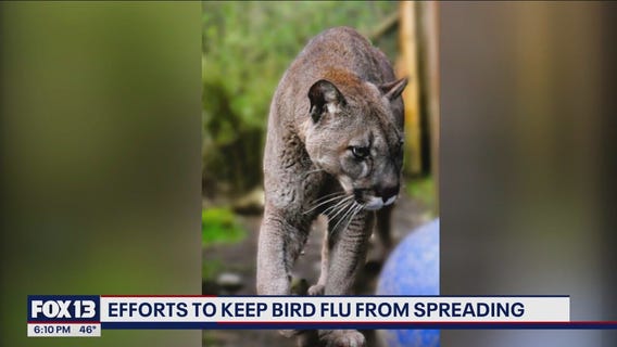 Efforts to keep bird flu from spreading in WA