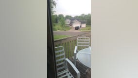 Black bear seen running through neighborhood in Lindstrom, Minn.