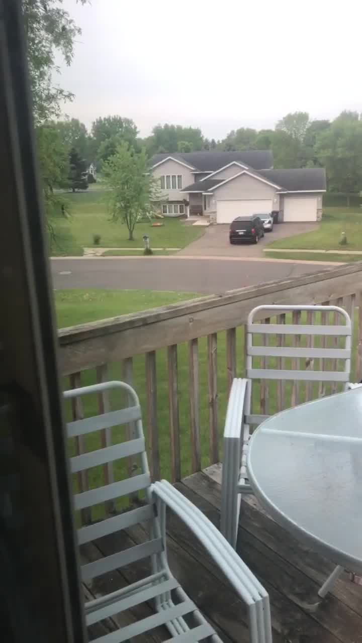 Black bear seen running through neighborhood in Lindstrom, Minn.