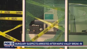 Multiple burglary suspects arrested after break-in