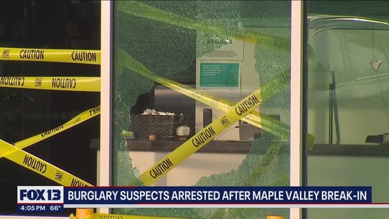 Multiple burglary suspects arrested after break-in