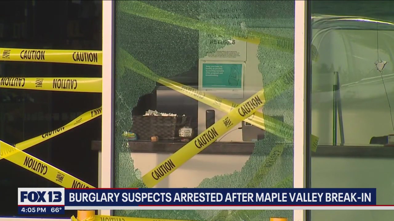 Multiple burglary suspects arrested after break-in