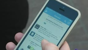 New Twitter policy allows users to report false information about elections