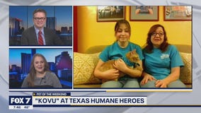 Pet of the Weekend: "Kovu" at Texas Humane Heroes