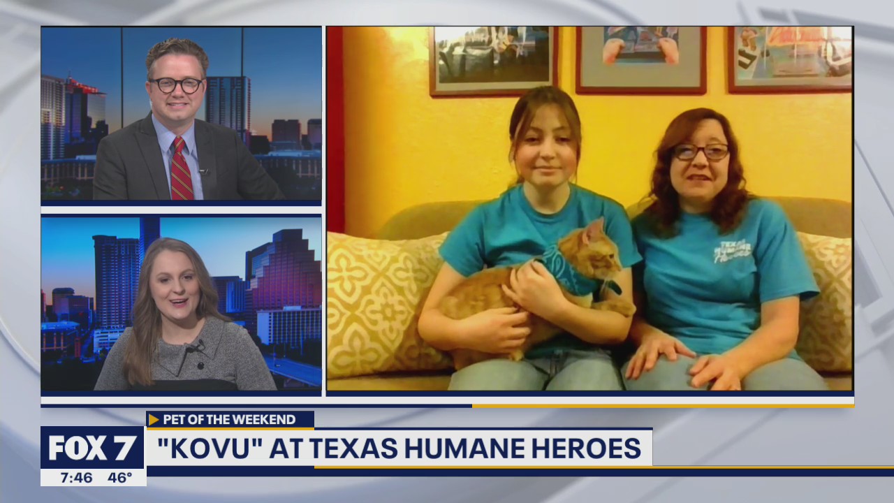 Pet of the Weekend: "Kovu" at Texas Humane Heroes