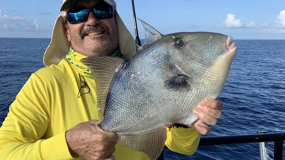 After Fred passes, fish in the Gulf may be hungrier than usual