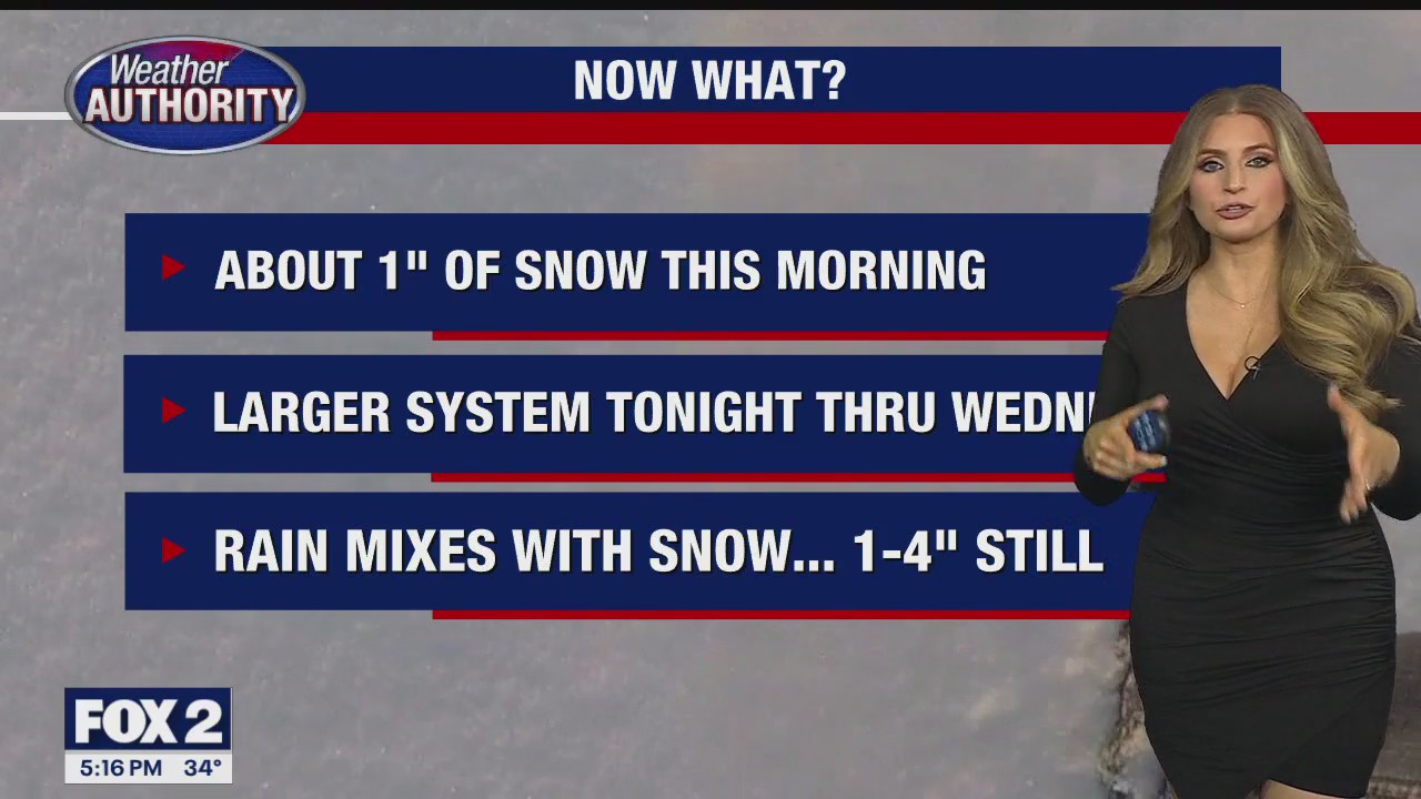 Snow overnight | FOX 2 Detroit