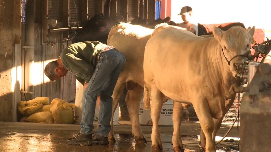 Stormwater filtration tested at Wisconsin State Fair