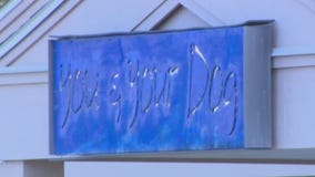 Animal mistreatment, dog trainer accused