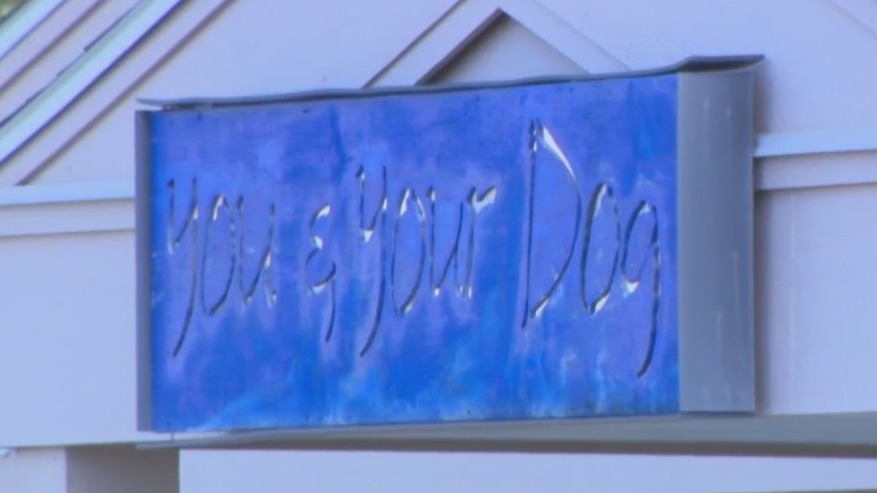 Animal mistreatment, dog trainer accused