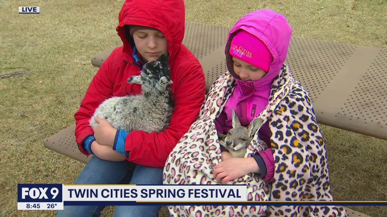 Baby animals available to hold and pet at Twin Cities Spring Festival