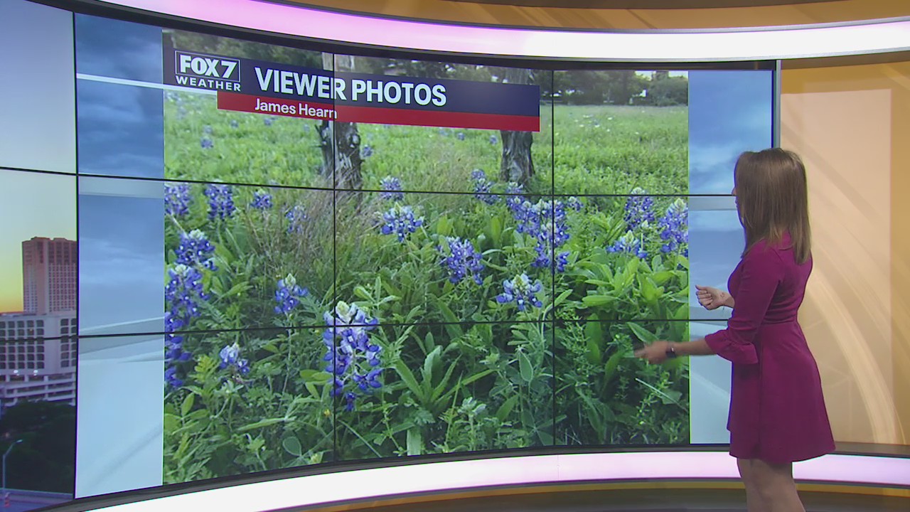 Morning weather forecast for March 28, 2020