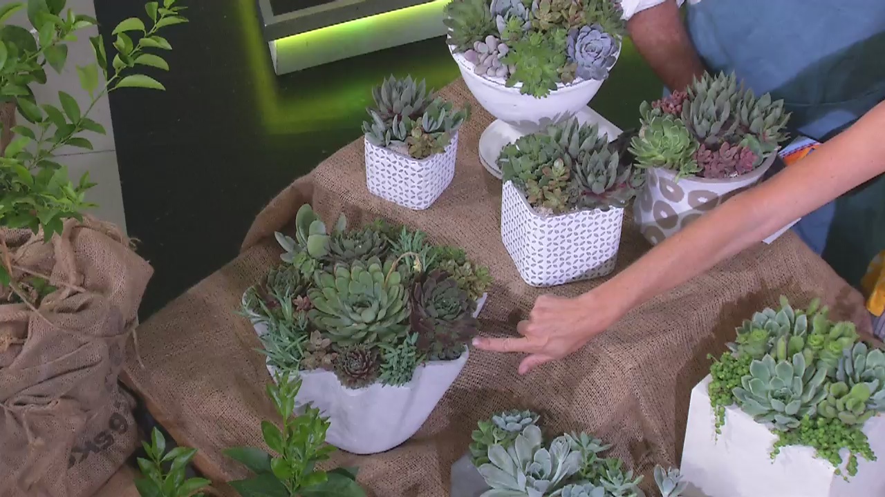 Gift ideas from the garden for Mother's Day 2018