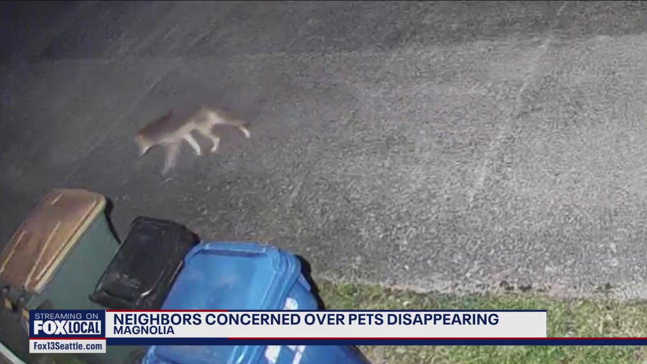 Coyote attacks, kills dog in Magnolia neighborhood