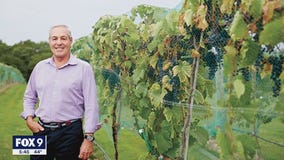 7 Vines Vineyard in Dellwood launches 'The Minnesotan' wine