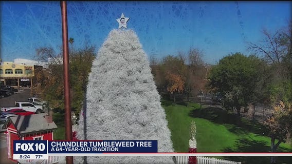 Tumbleweed tree goes up in Chandler, marking the start of the holiday season