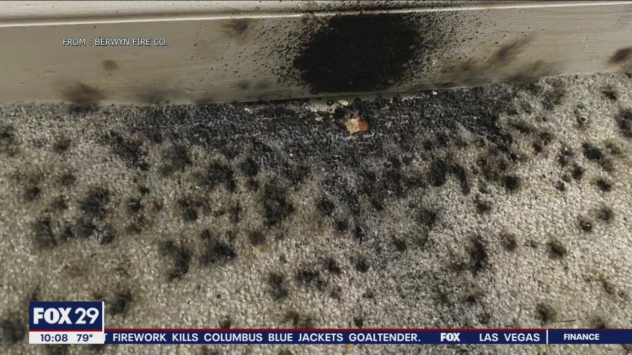 Police investigating fountain-style firework thrown into Tredyffrin home