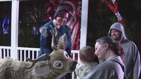 ZooTampa's Christmas in the Wild