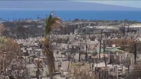 Country rallies to raise money for Maui fire victims