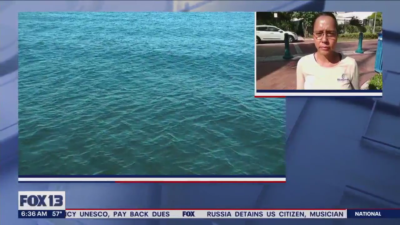 El Ni�o has arrived