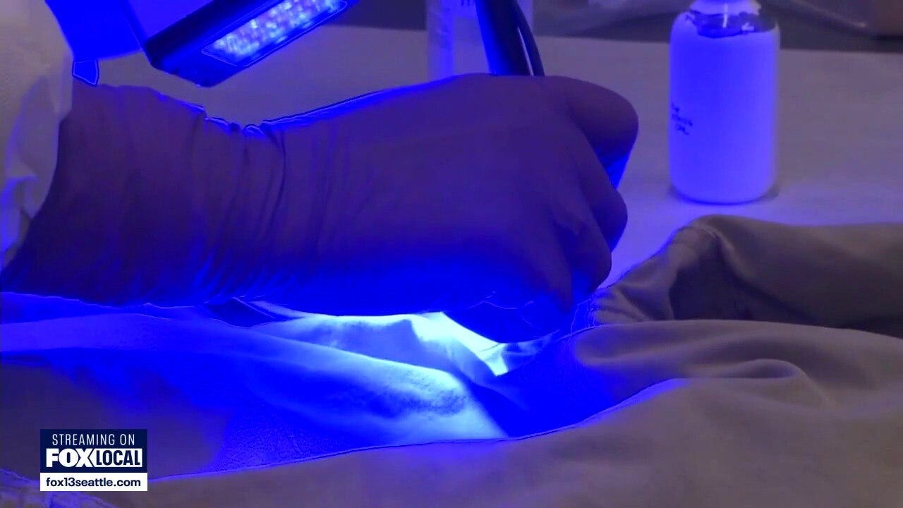 Rapid DNA machines solving King County crimes faster