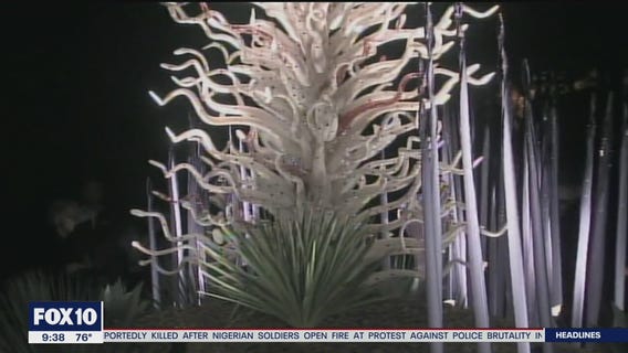 Desert Botanical Garden selling tickets for popular holiday event