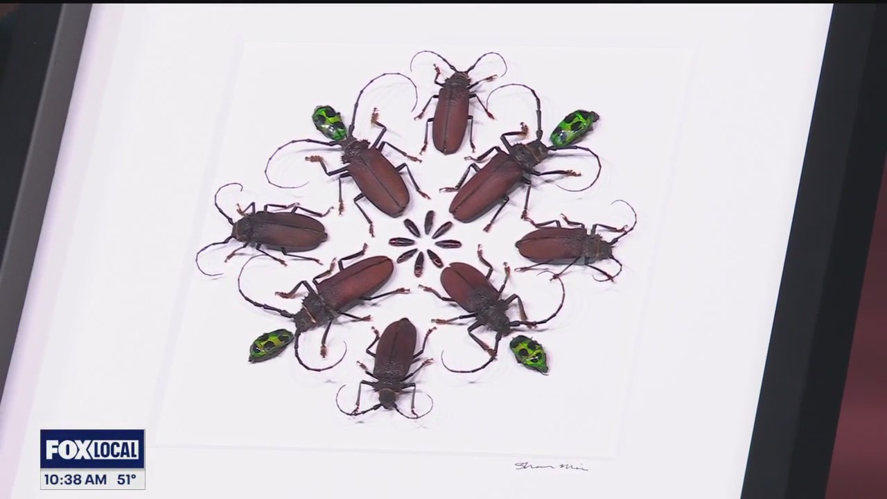 Kensington Metropark Art Fair runs May 24-26