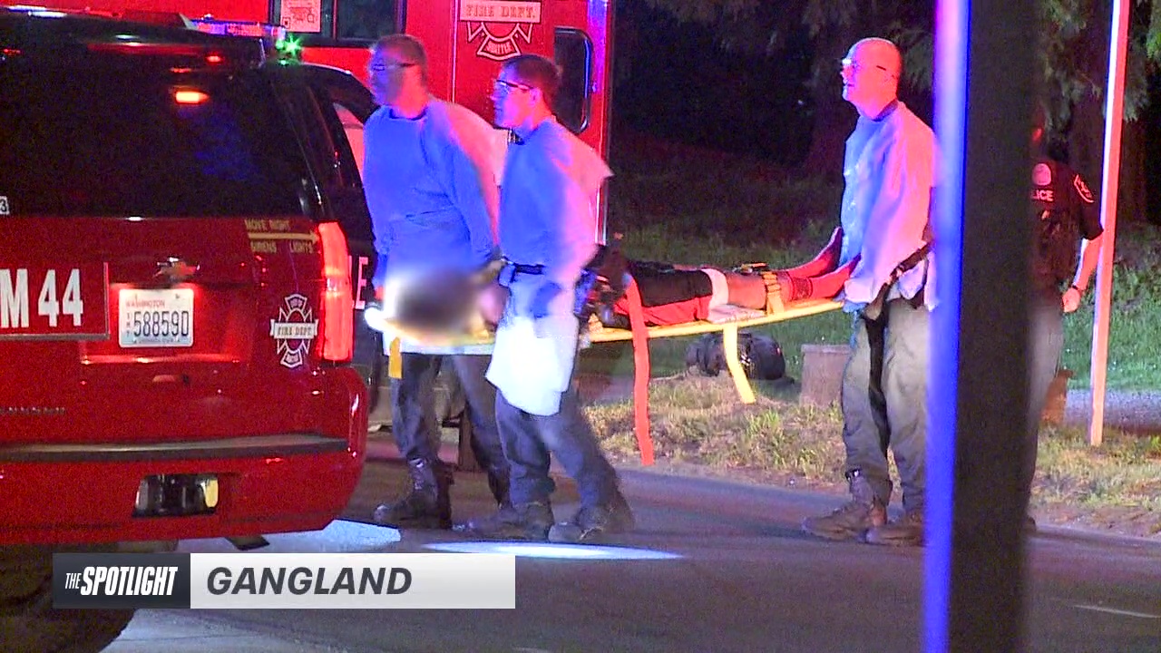 The Spotlight: Gangland