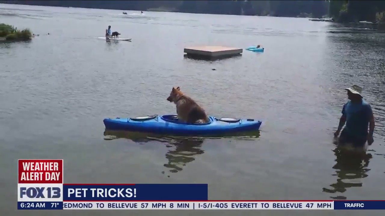 Pet Tricks for Monday, August 14