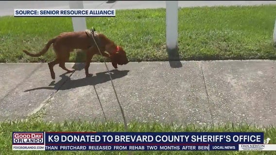 Brevard County Sheriff's Office welcomes new K9 to the force