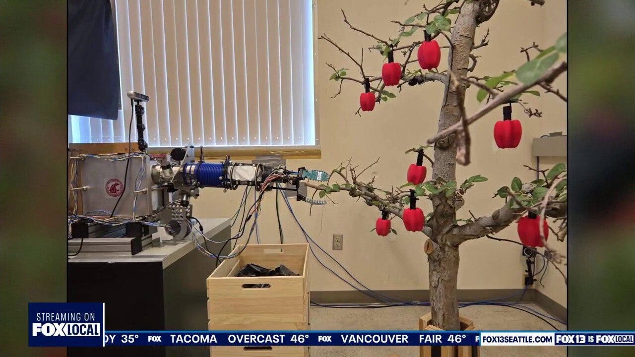 WSU unveils robotic arm for apple picking