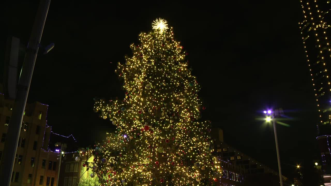 WATCH: Sundance Square lights largest live Christmas tree in Texas