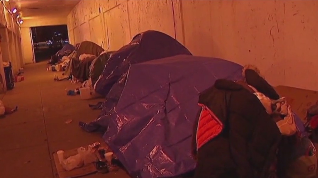 Chicago awarded $60M grant to address homelessness