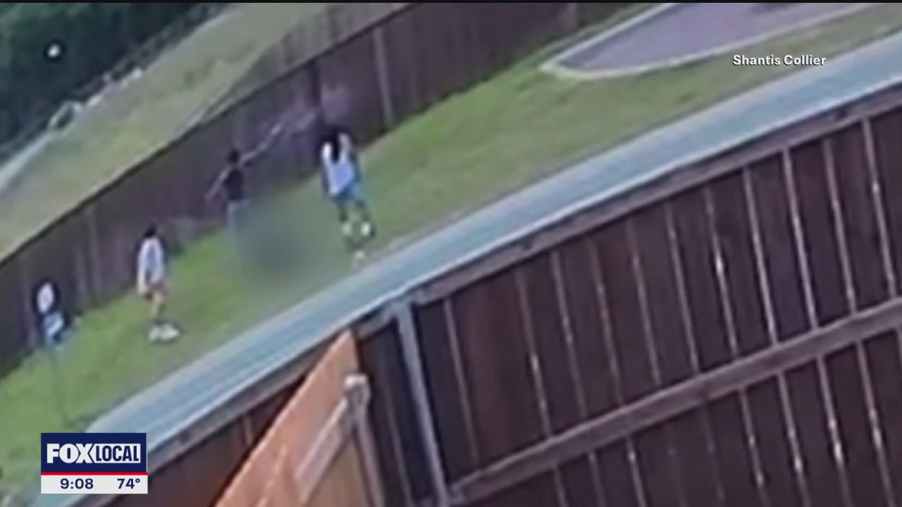 Police say Ferris park shooting suspects arrested