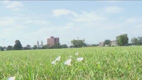 Suit seeks to scuttle CHA land lease to Chicago Fire, construction of $80M training facility