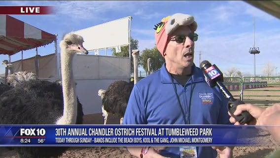 Cory's Corner: Ostrich Festival