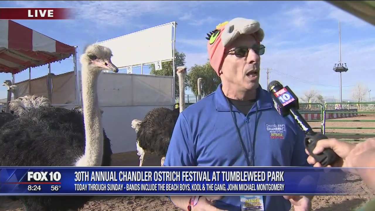 Cory's Corner: Ostrich Festival