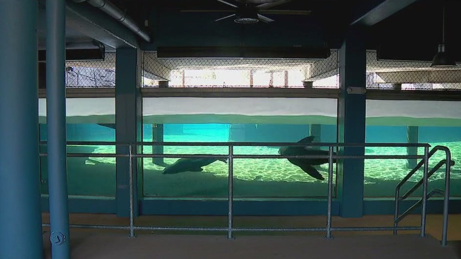 Como Zoo has 50 million reasons to celebrate