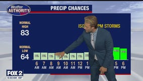 Sunny day with stray shower chance later