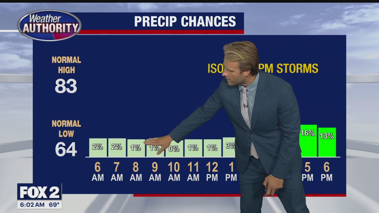 Sunny day with stray shower chance later